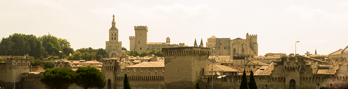 Avignon Wheelchair Provence Accessible Tours