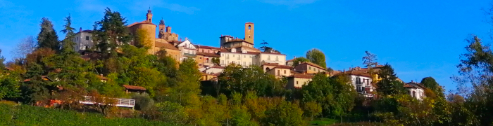 Neive Wheelchair Piedmont Accessible Italy Tours