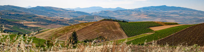 Salaparuta Wheelchair Sicily Accessible Wine Tasting Tours