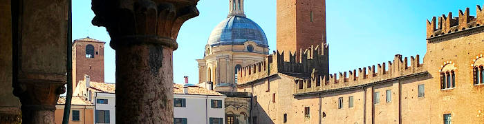 Mantua Wheelchair Milan Accessible Tours