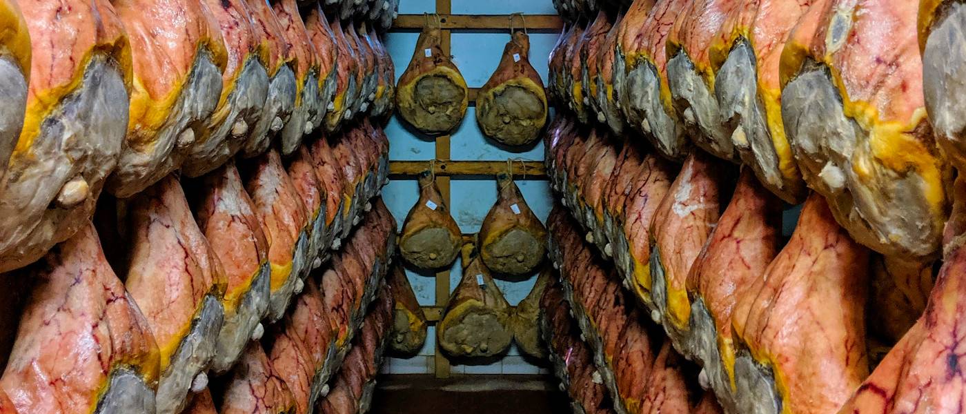 Parma Prosciutto Wheelchair Food Accessible Italy Tours